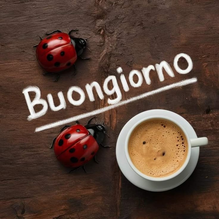 buon fine settimana buongiorno buon sabato