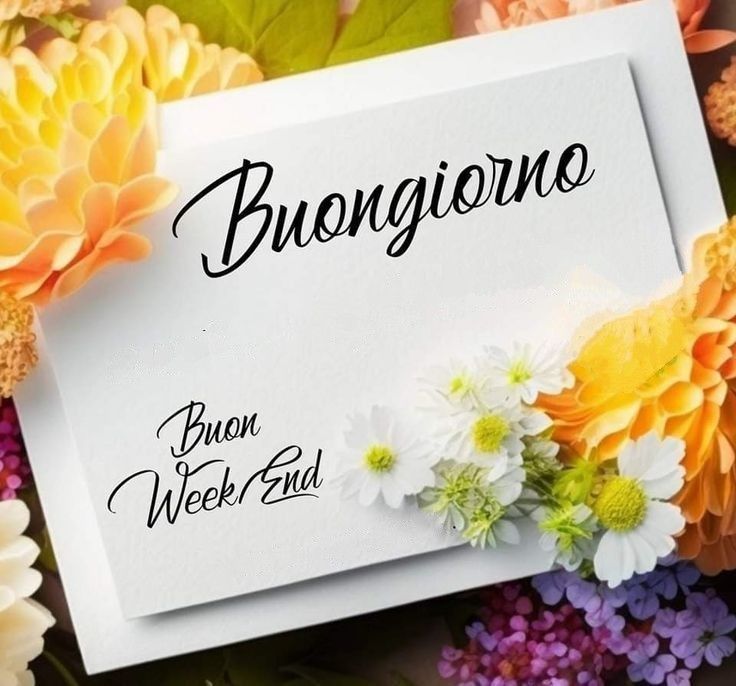 buon giorno stupende nuovissimo buongiorno immagini recenti