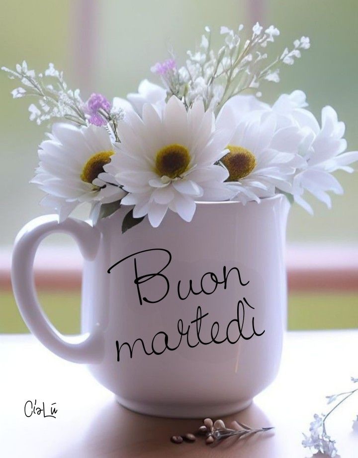 buon martedi immagini buongiorno