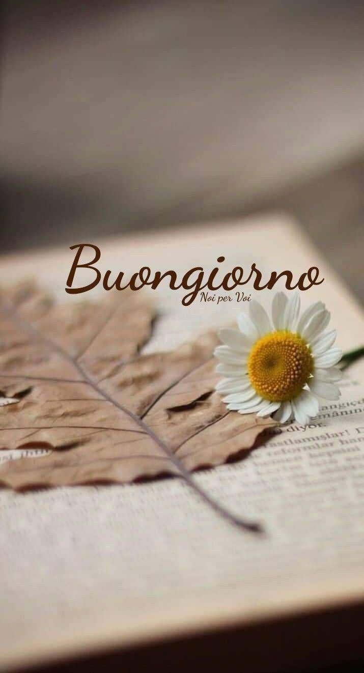 buon sabato buongiorno immagini