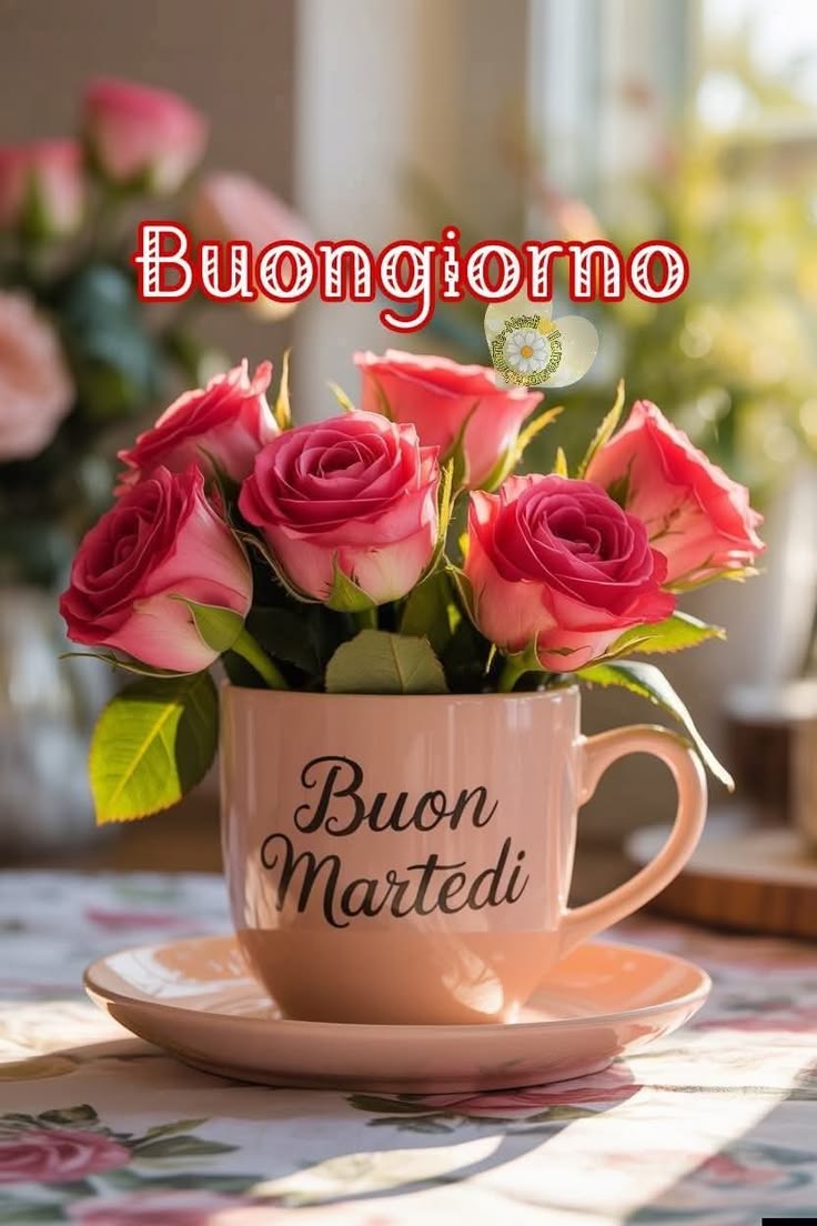 buongiorno buon martedi spiritoso