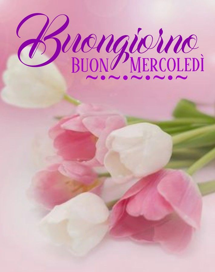 buongiorno buon mercoledi felice giornata