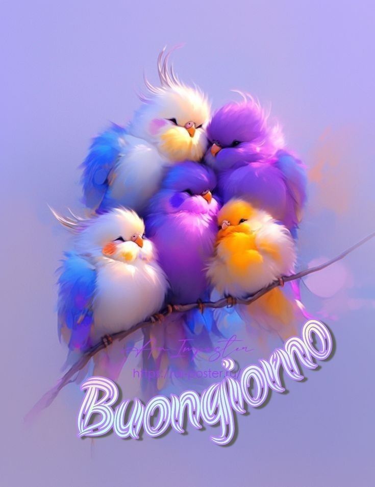 buongiorno buon mercoledi gatti