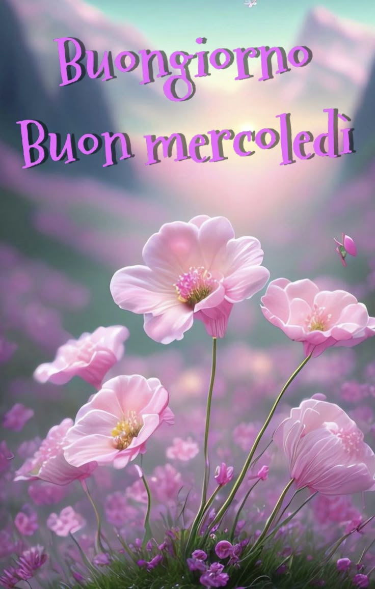 buongiorno buon mercoledi spiritoso