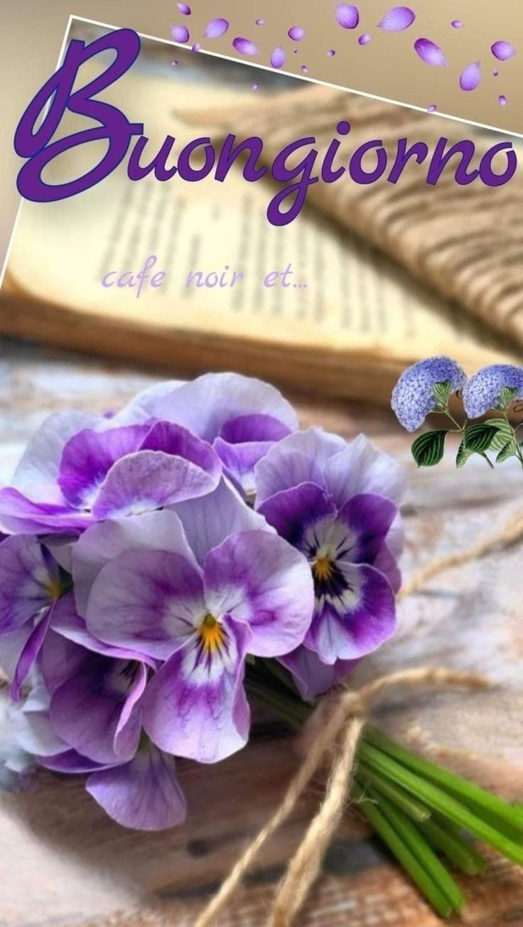buongiorno buon venerdi autunnale