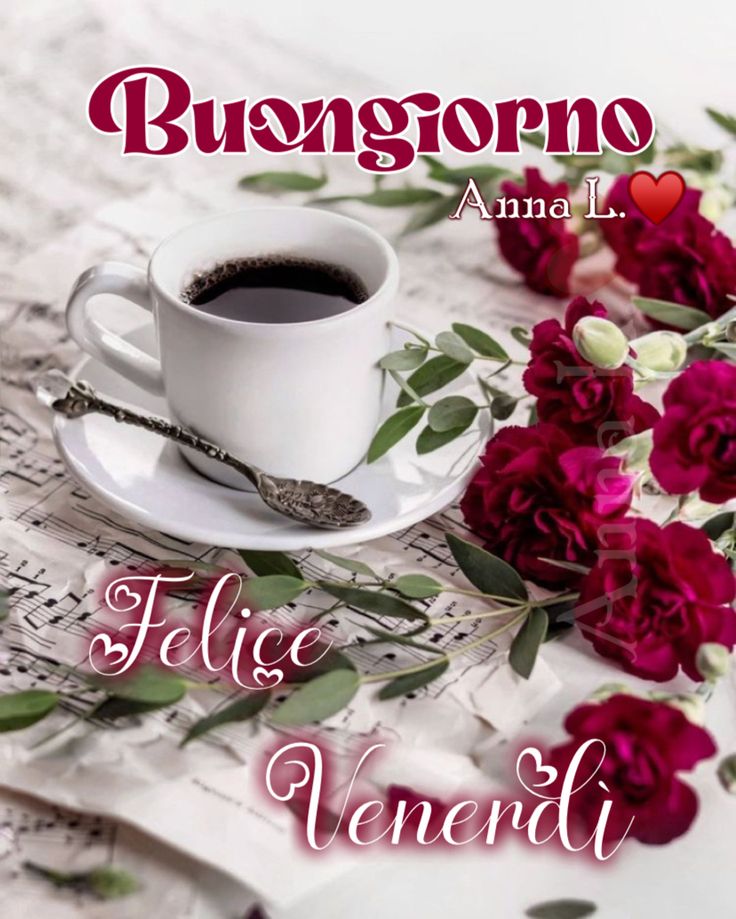 buongiorno buon venerdi con gatti
