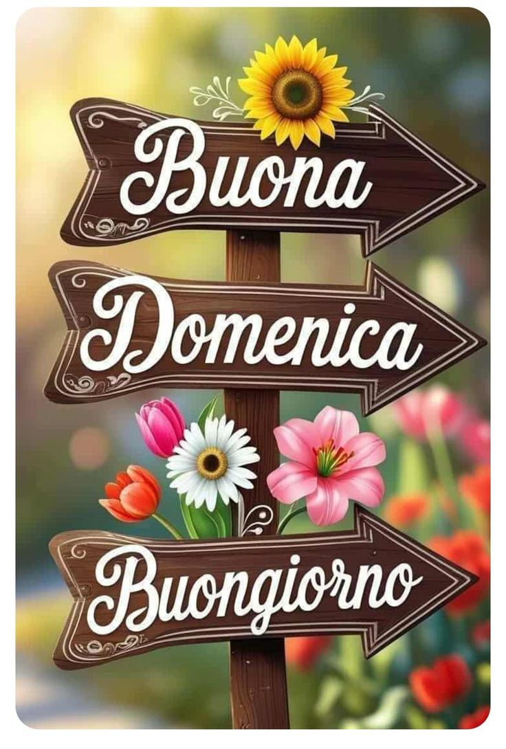 buongiorno buona domenica divertente