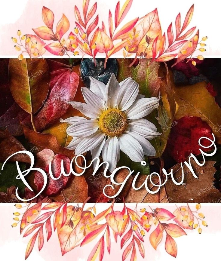 buongiorno e buon lunedi