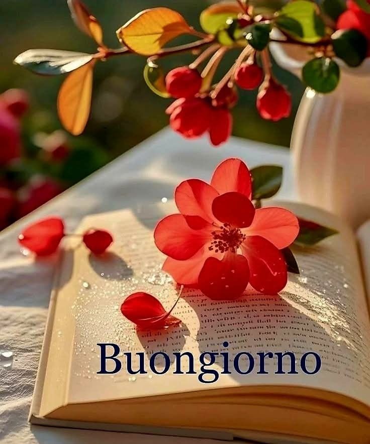 buongiorno estivo caldo