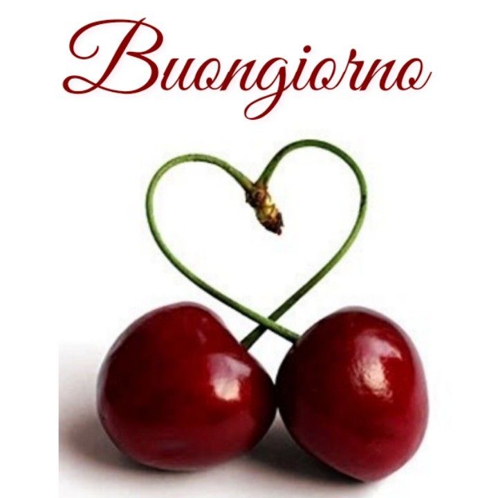 buongiorno gif bellissimi nuovissimi
