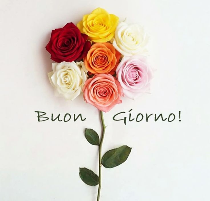 buongiorno gif bellissimi