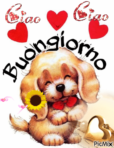 buongiorno gif speciale