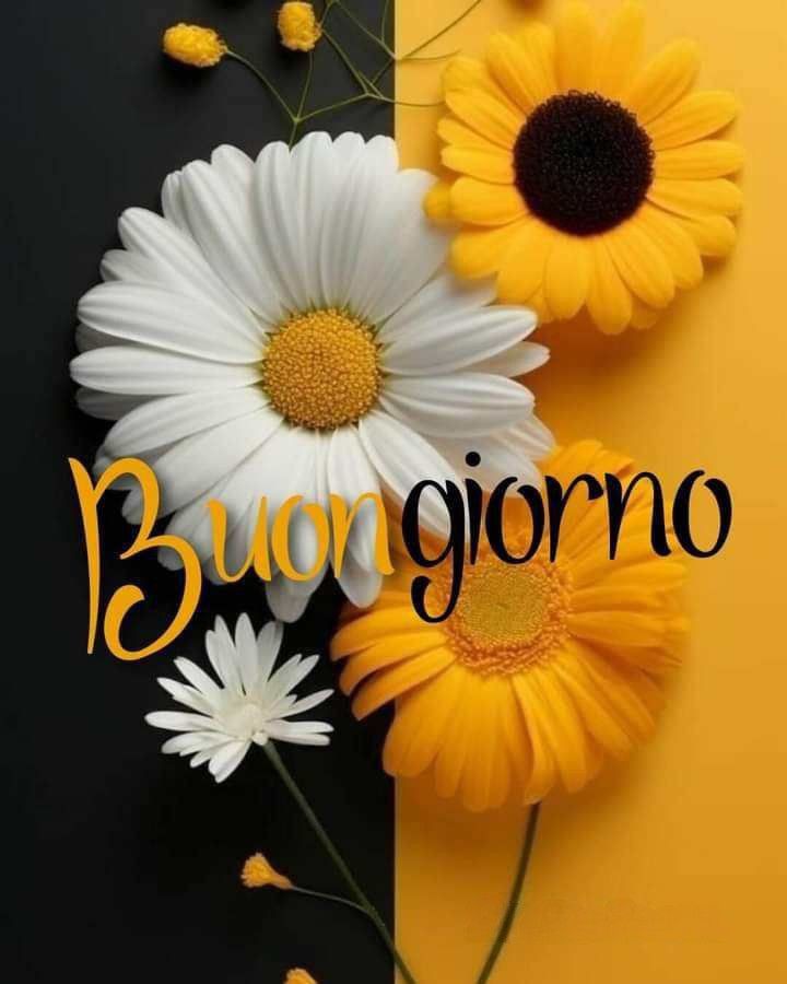 buongiorno immagini hd