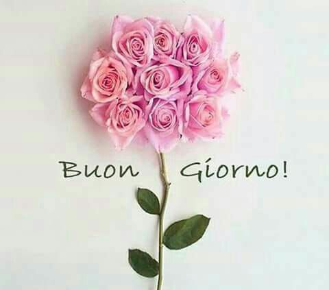 buongiorno immagini lunedi