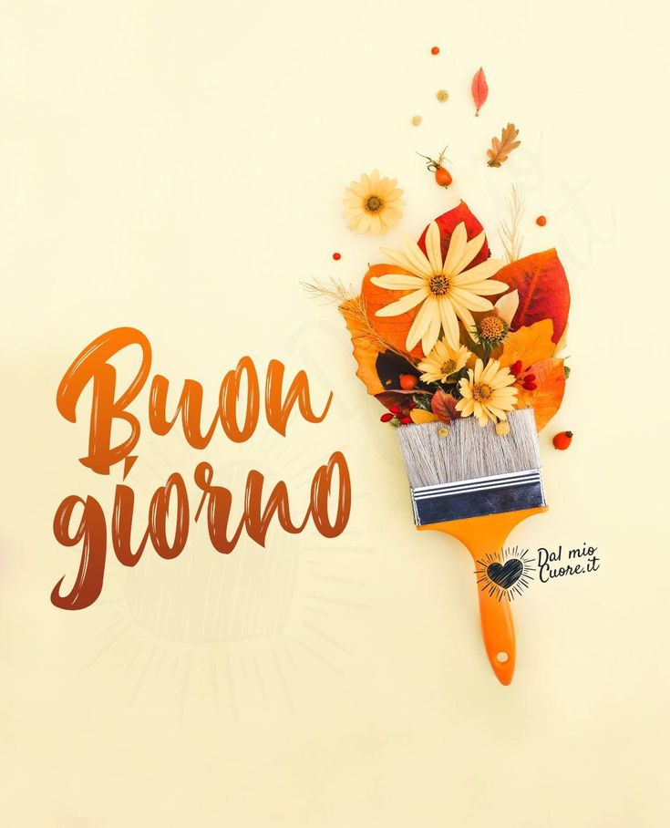 buongiorno immagini mercoledi