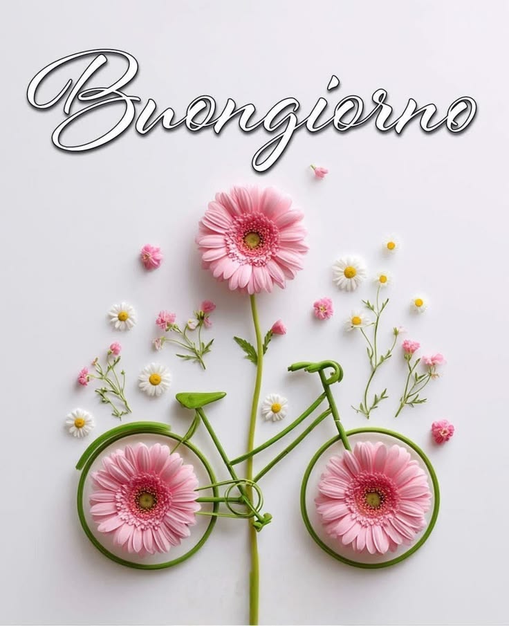 buongiorno immagini nuove gratis buon lunedi