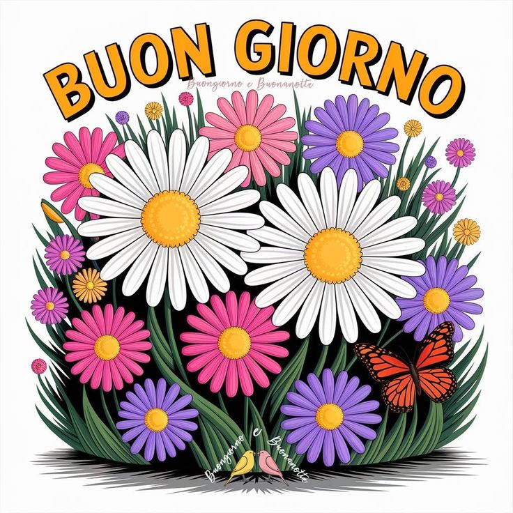 buongiorno immagini nuove