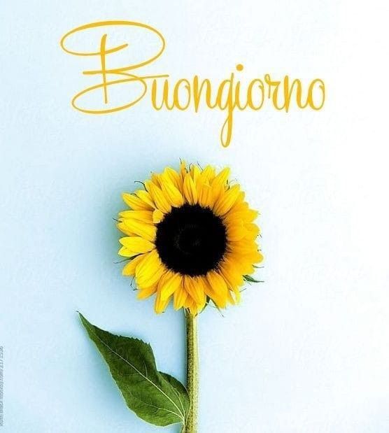 buongiorno invernale buon sabato