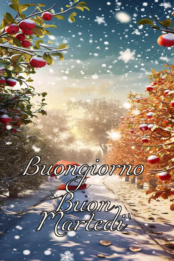 buongiorno invernale elegante