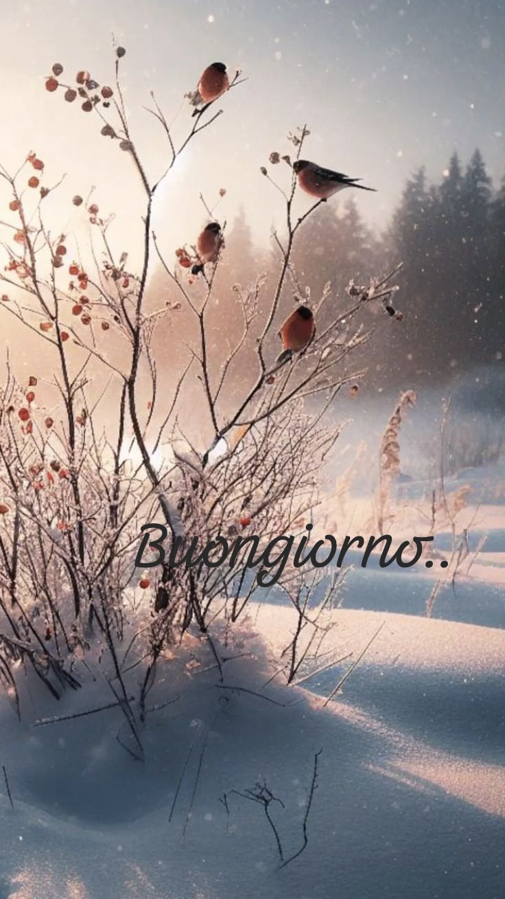 buongiorno invernale romantico