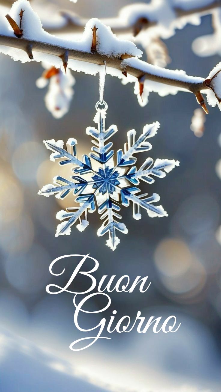 buongiorno invernale uggioso