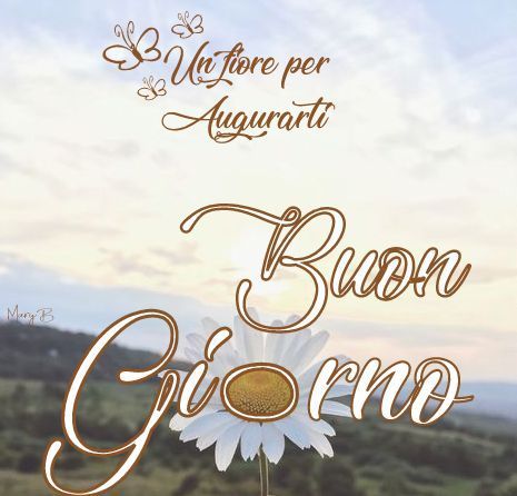 buongiorno mamma incidente anna