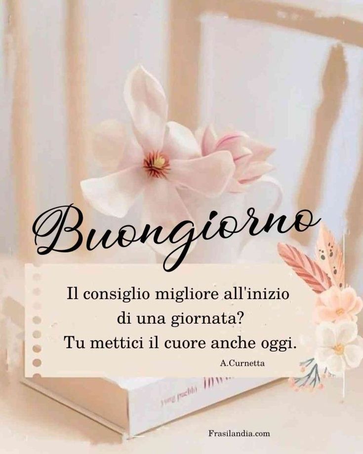 buongiorno sotto zero immagini
