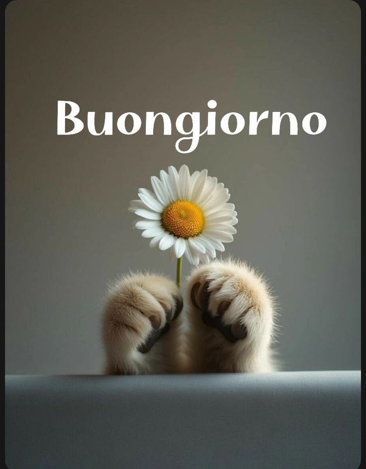domenica immagini buongiorno