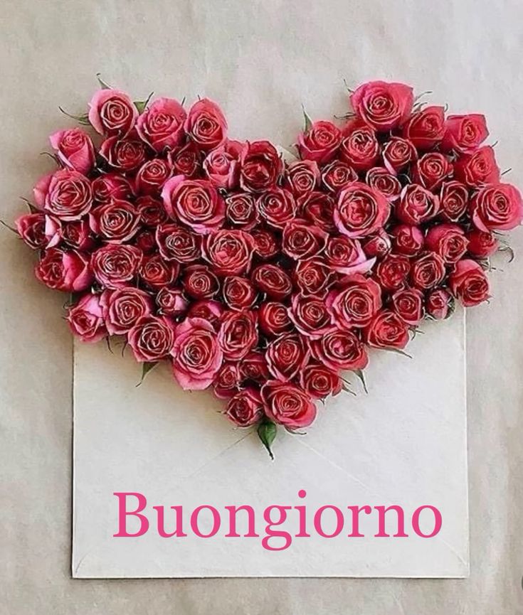 dove vedere buongiorno mamma 2