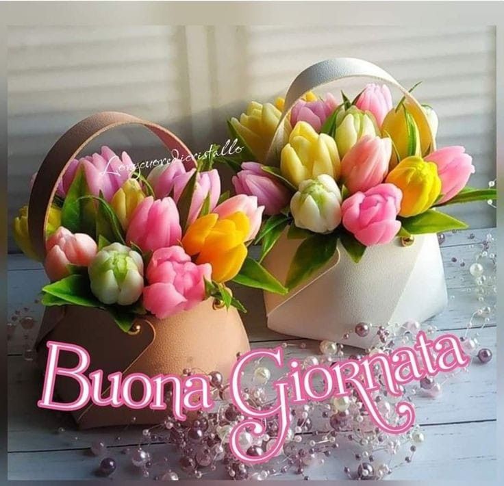 elena buongiorno immagini