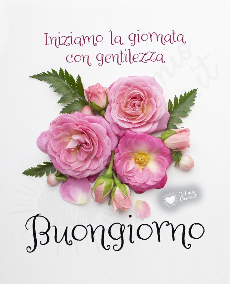 immagini buongiorno amore
