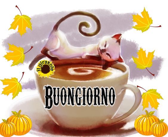 immagini buongiorno amore