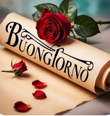 immagini buongiorno buona domenica bellissime