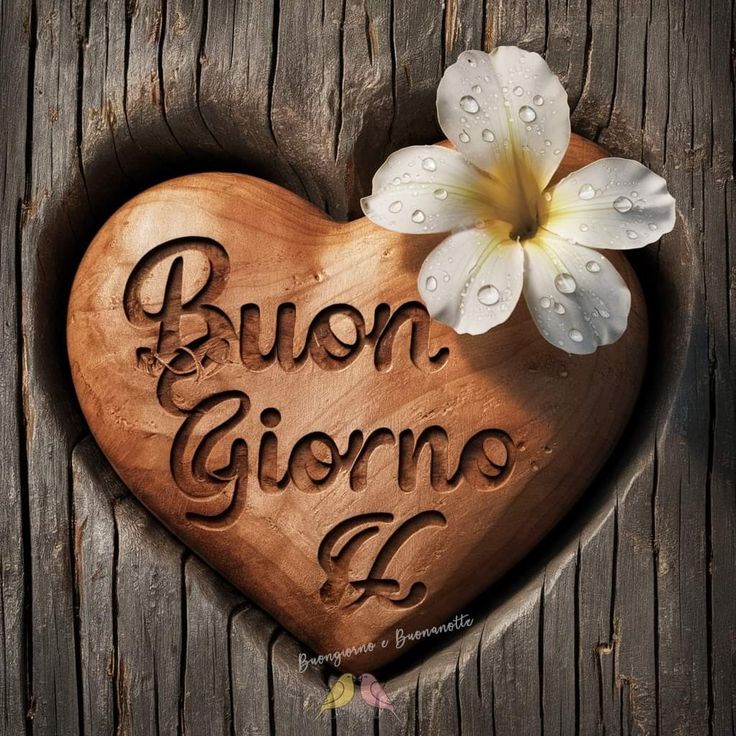 immagini buongiorno cute