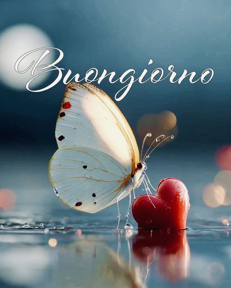 immagini buongiorno giovedi natalizio gratis