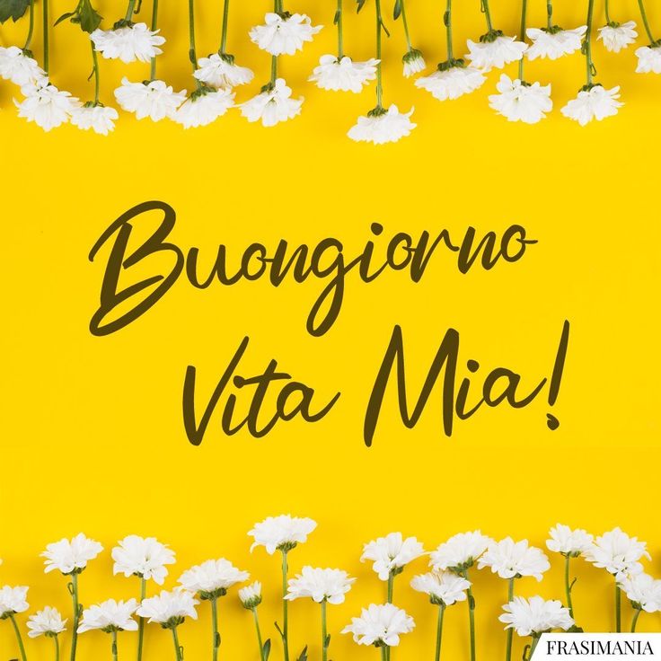 immagini buongiorno oggi