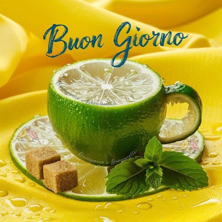 magic house buongiorno immagini