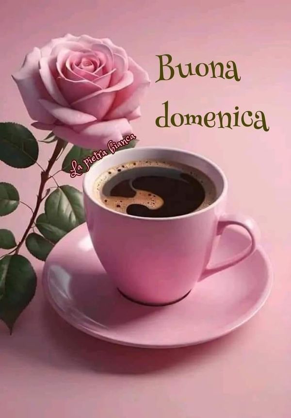 nuove immagini buongiorno buona domenica