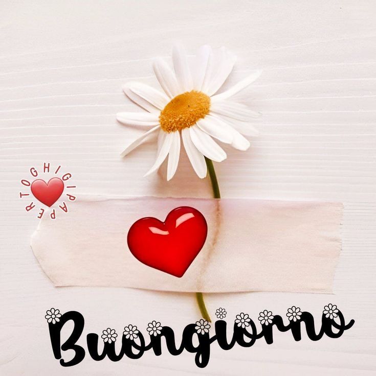 nuove immagini buongiorno estivo