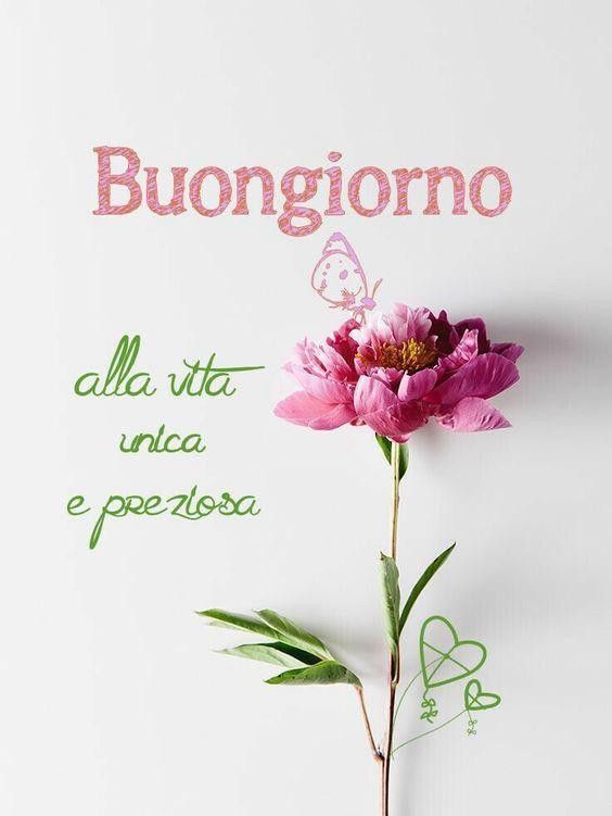 oggi stupende nuovissimo buongiorno immagini recenti