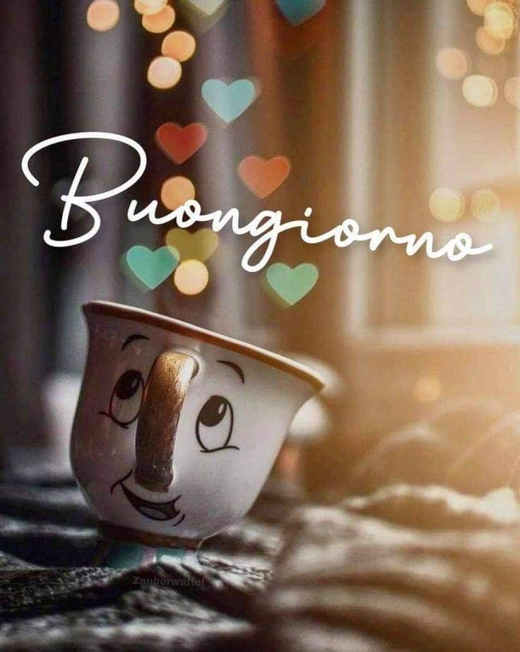pietra bianca stupende nuovissimo buongiorno immagini recenti