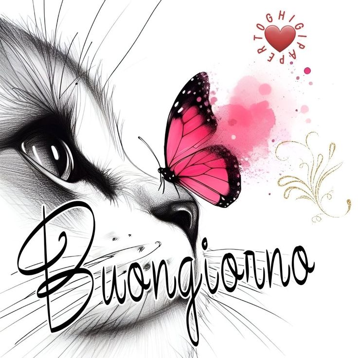 simpatico buongiorno buona domenica