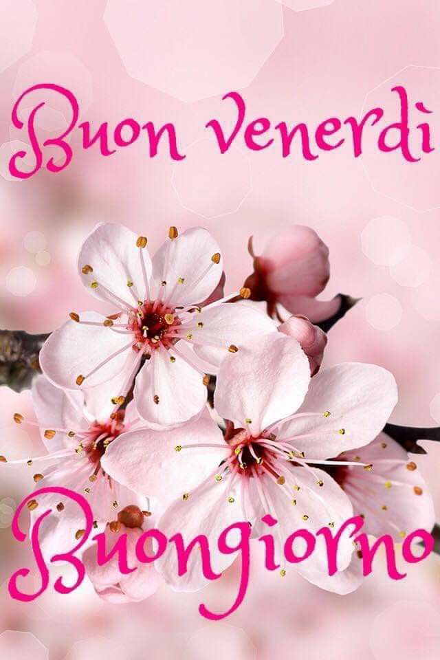 whatsapp buongiorno buon venerdi