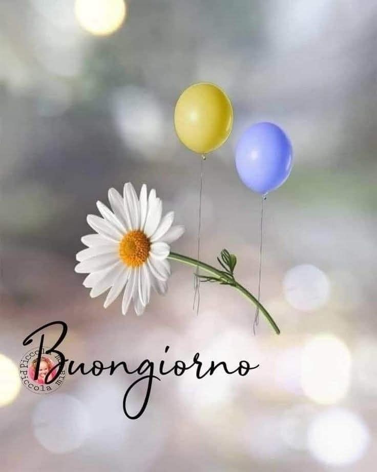 whatsapp buongiorno estivo